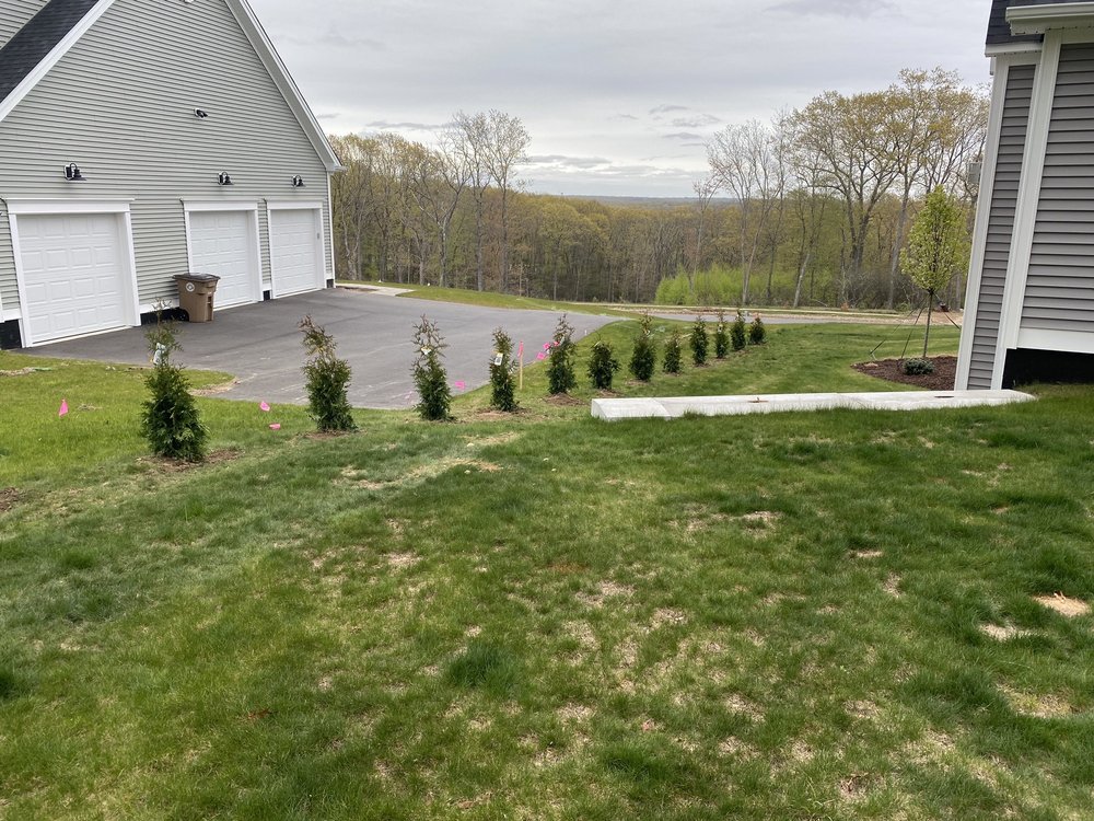 How Contractors Specializing in Hydroseeding are Transforming the Field of Landscaping